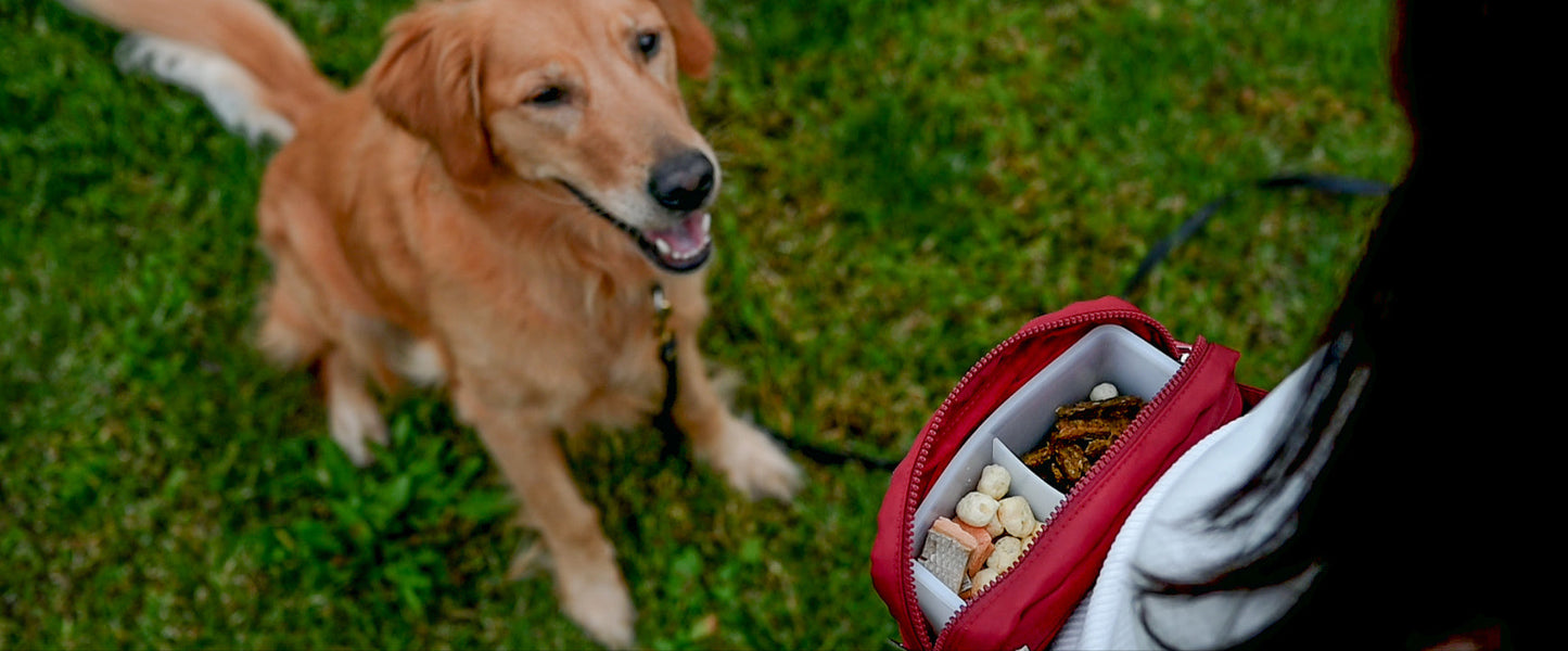 DuoPouch: Double Compartment Silicone Insert for The Daily Trainer Bag