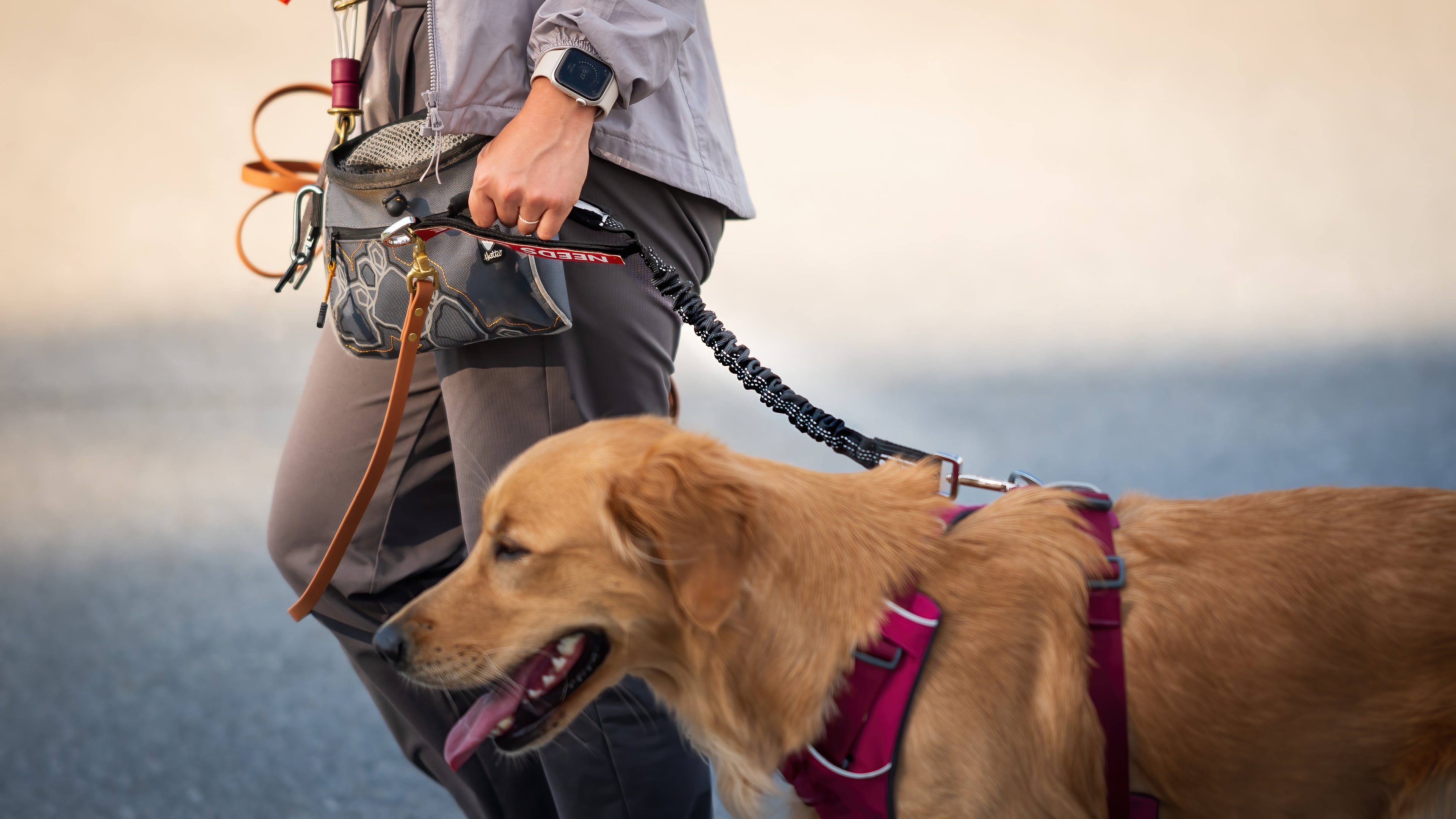 Multifunctional Bungee Leash Attachment