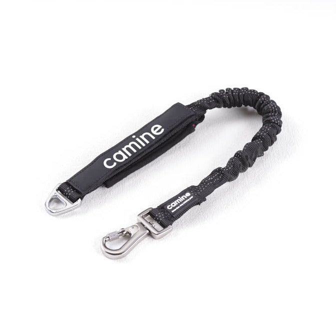 Multifunctional Bungee Leash Attachment