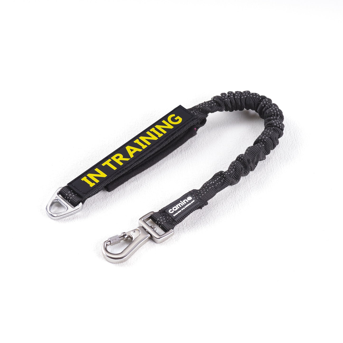 Multifunctional Bungee Leash Attachment