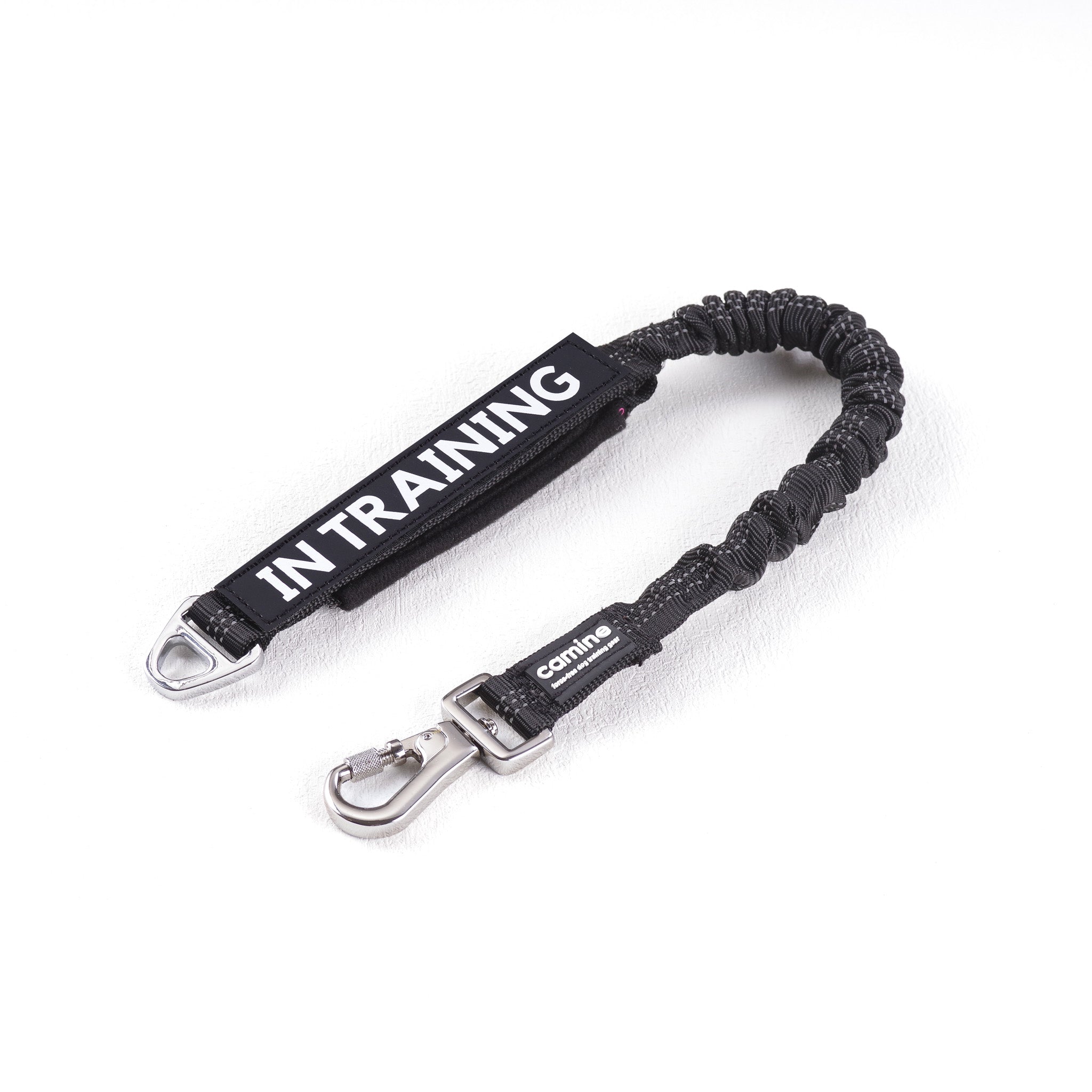Multifunctional Bungee Leash Attachment