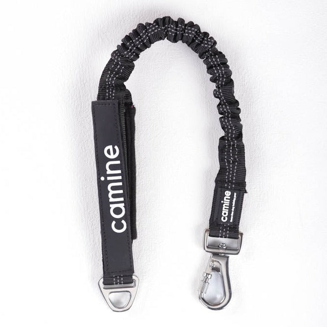 Multifunctional Bungee Leash Attachment