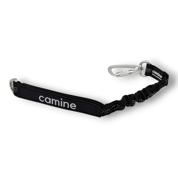 Short Bungee Leash Attachment