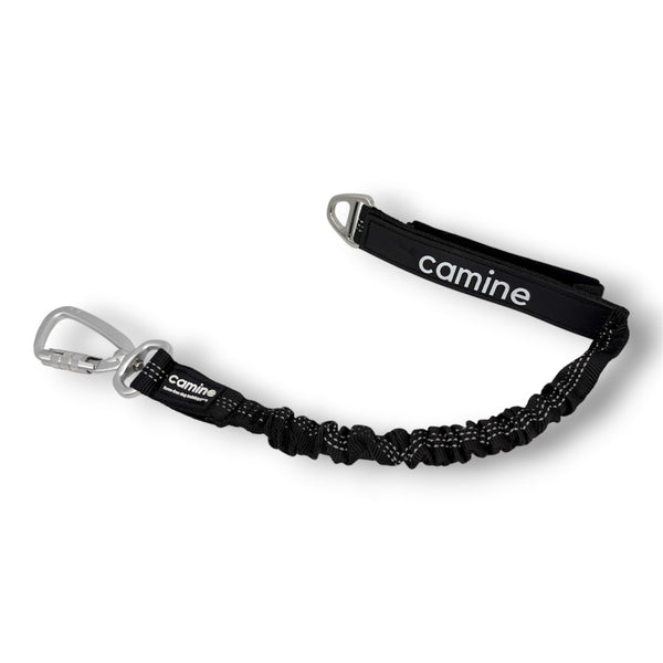 Multifunctional Bungee Leash Attachment V2