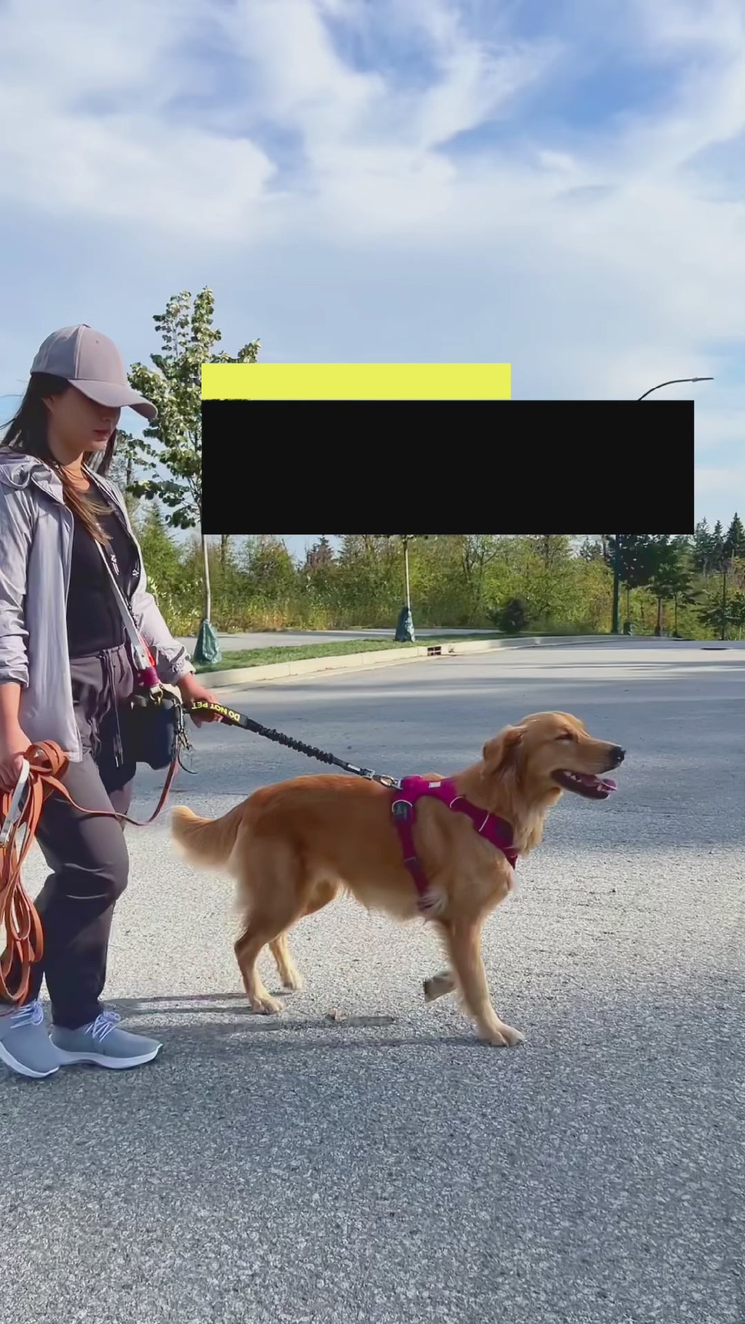 Multifunctional Bungee Leash Attachment