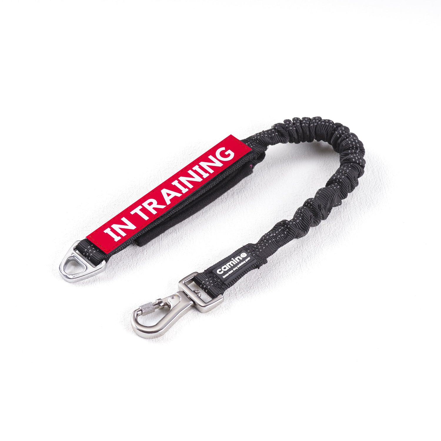Multifunctional Bungee Leash Attachment