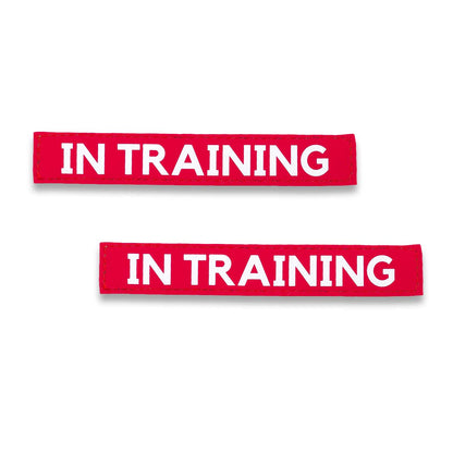 "IN TRAINING" Text Patch (2 pcs)